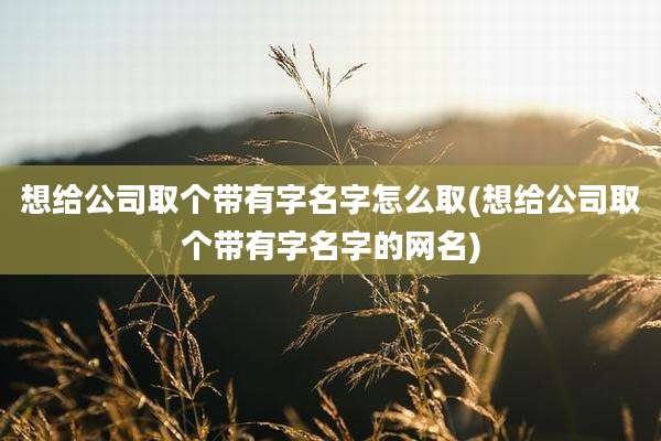 想给公司取个带有字名字怎么取(想给公司取个带有字名字的网名)