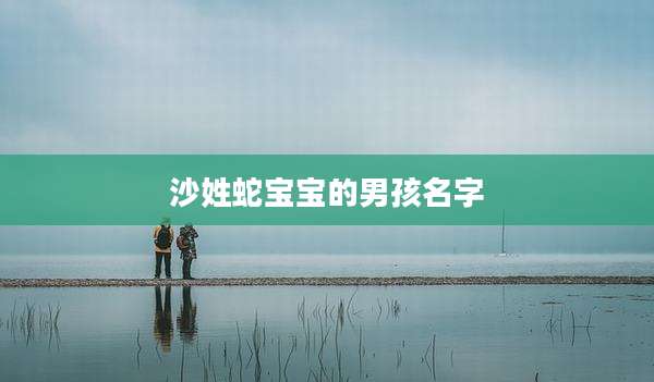 沙姓蛇宝宝的男孩名字