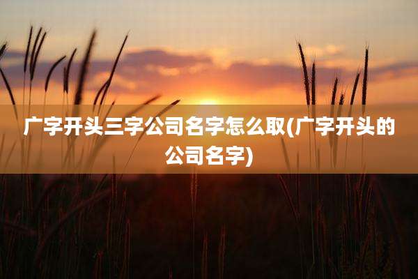 广字开头三字公司名字怎么取(广字开头的公司名字)