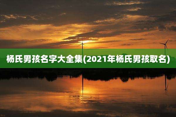 杨氏男孩名字大全集(2021年杨氏男孩取名)