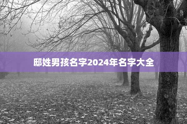邸姓男孩名字2024年名字大全