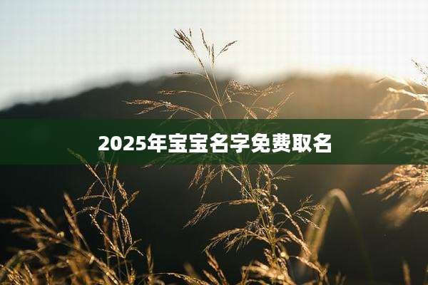 2025年宝宝名字免费取名