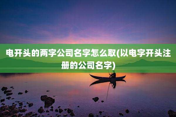 电开头的两字公司名字怎么取(以电字开头注册的公司名字)