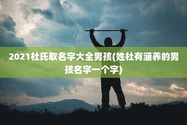 2021杜氏取名字大全男孩(姓杜有涵养的男孩名字一个字)