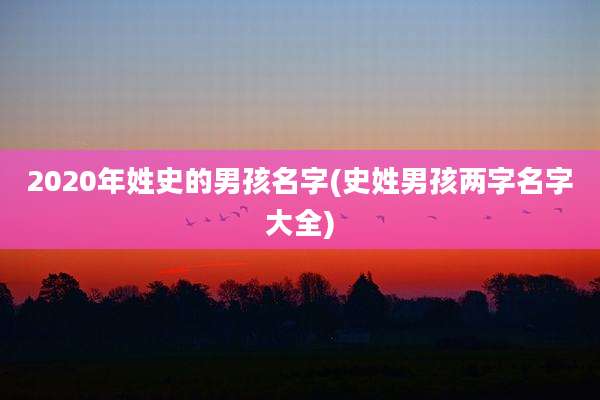 2020年姓史的男孩名字(史姓男孩两字名字大全)