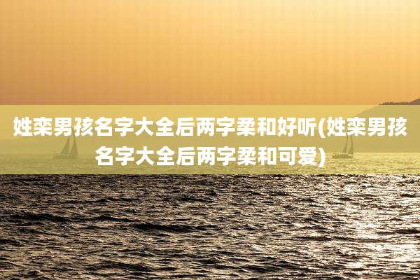 姓栾男孩名字大全后两字柔和好听(姓栾男孩名字大全后两字柔和可爱)