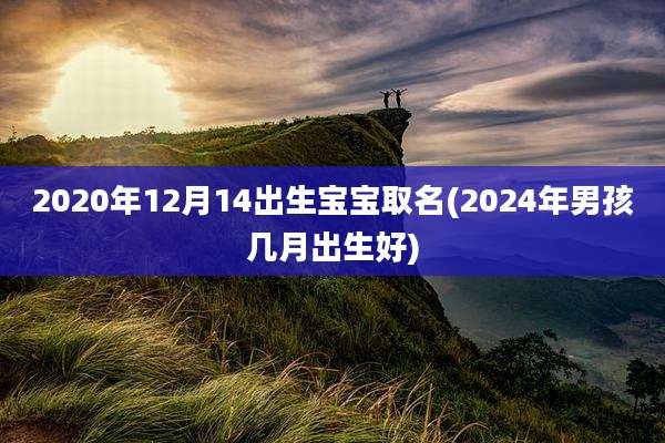 2020年12月14出生宝宝取名(2024年男孩几月出生好)