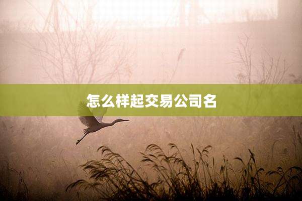 怎么样起交易公司名