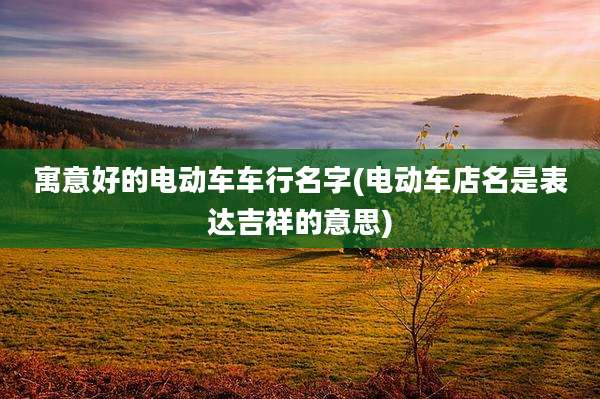寓意好的电动车车行名字(电动车店名是表达吉祥的意思)