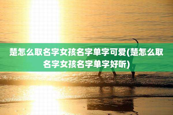 楚怎么取名字女孩名字单字可爱(楚怎么取名字女孩名字单字好听)