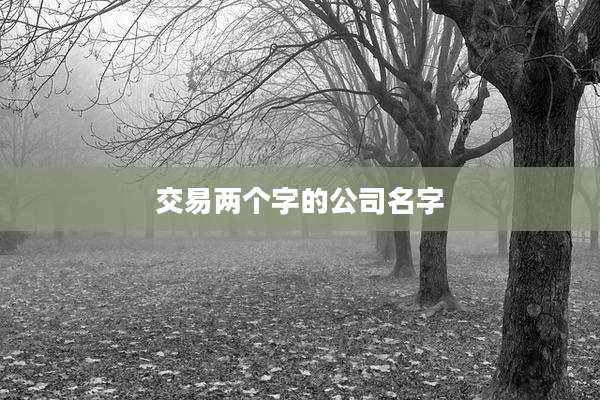 交易两个字的公司名字