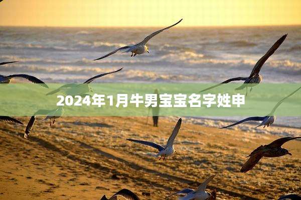 2024年1月牛男宝宝名字姓申