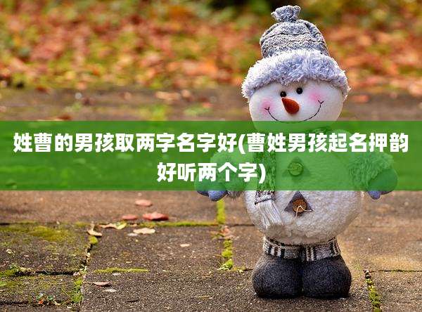 姓曹的男孩取两字名字好(曹姓男孩起名押韵好听两个字)