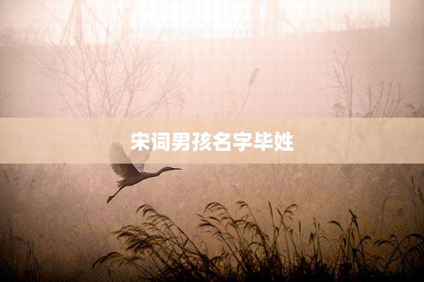 宋词男孩名字毕姓