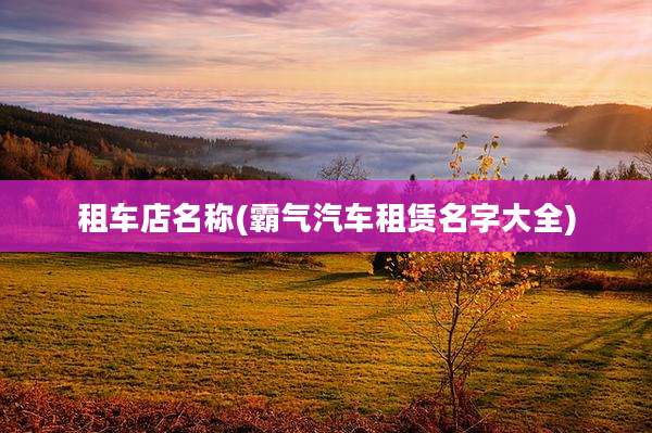 租车店名称(霸气汽车租赁名字大全)