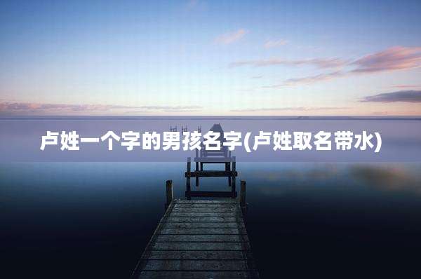卢姓一个字的男孩名字(卢姓取名带水)