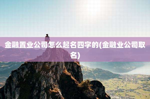 金融置业公司怎么起名四字的(金融业公司取名)