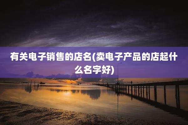 有关电子销售的店名(卖电子产品的店起什么名字好)