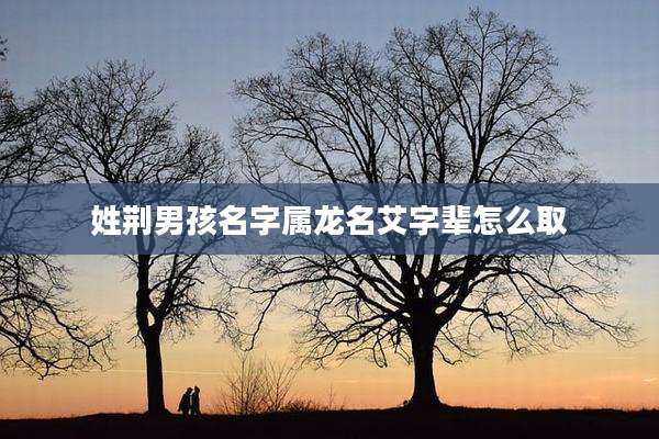 姓荆男孩名字属龙名艾字辈怎么取