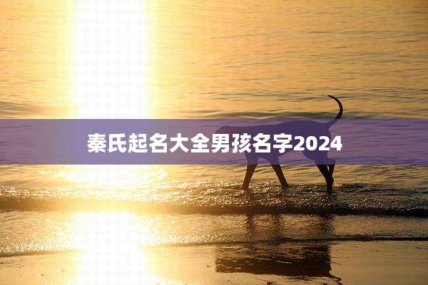 秦氏起名大全男孩名字2024