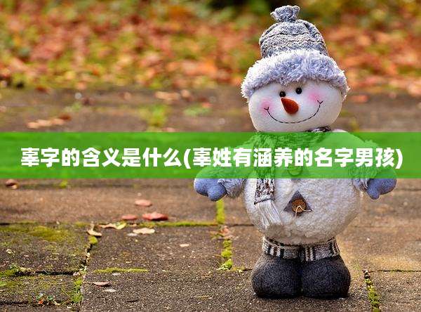 辜字的含义是什么(辜姓有涵养的名字男孩)