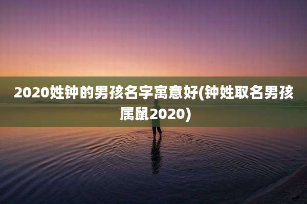 2020姓钟的男孩名字寓意好(钟姓取名男孩 属鼠2020)