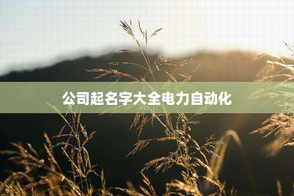 公司起名字大全电力自动化