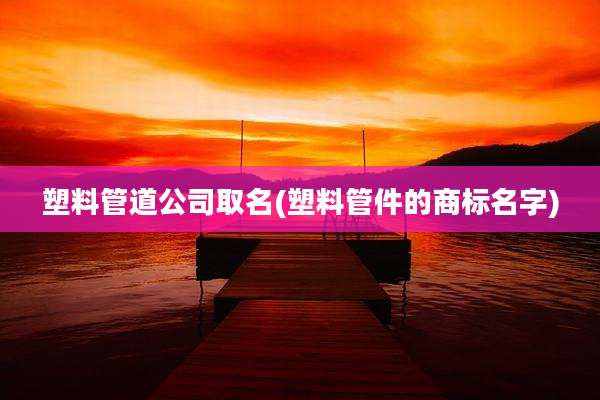塑料管道公司取名(塑料管件的商标名字)