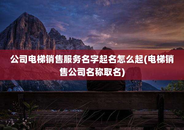 公司电梯销售服务名字起名怎么起(电梯销售公司名称取名)