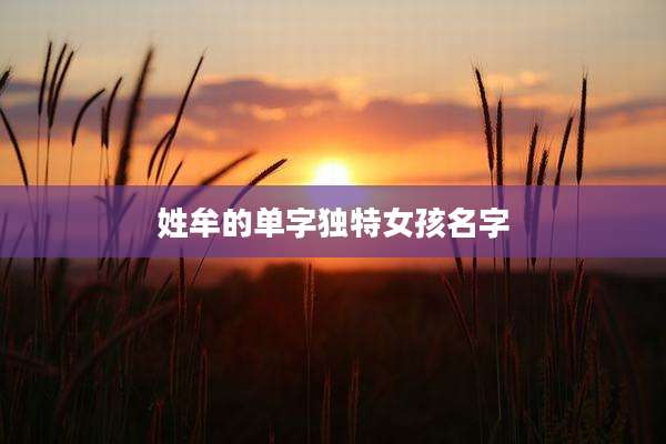 姓牟的单字独特女孩名字