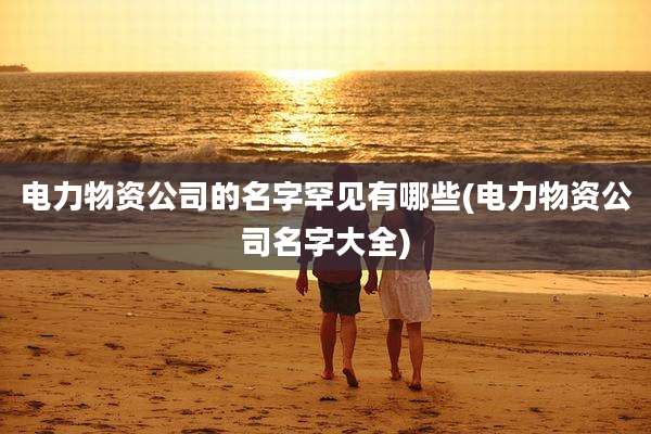 电力物资公司的名字罕见有哪些(电力物资公司名字大全)