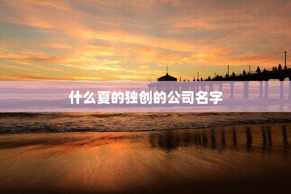 什么夏的独创的公司名字