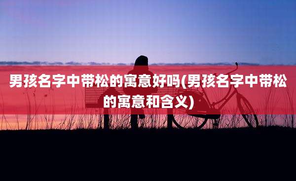 男孩名字中带松的寓意好吗(男孩名字中带松的寓意和含义)