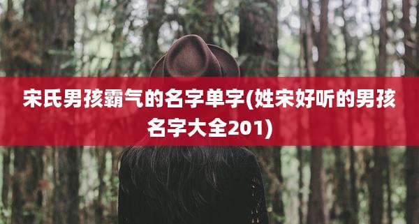 宋氏男孩霸气的名字单字(姓宋好听的男孩名字大全201)