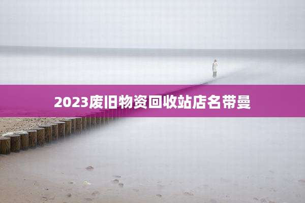 2023废旧物资回收站店名带曼