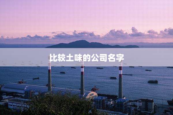 比较土味的公司名字