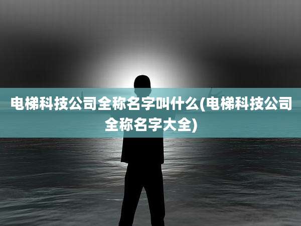 电梯科技公司全称名字叫什么(电梯科技公司全称名字大全)