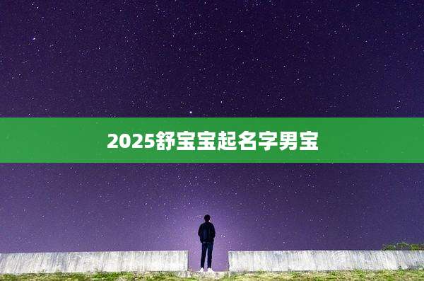 2025舒宝宝起名字男宝