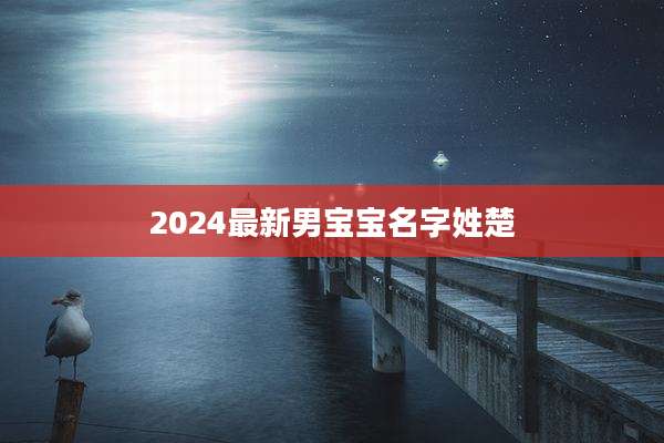 2024最新男宝宝名字姓楚