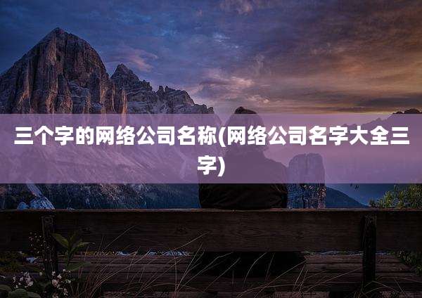 三个字的网络公司名称(网络公司名字大全三字)