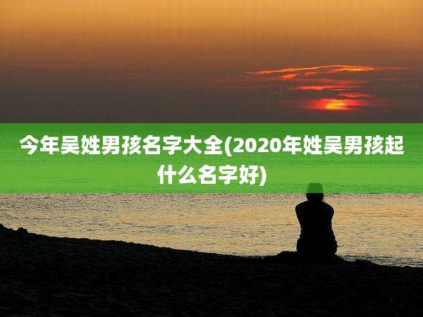 今年吴姓男孩名字大全(2020年姓吴男孩起什么名字好)