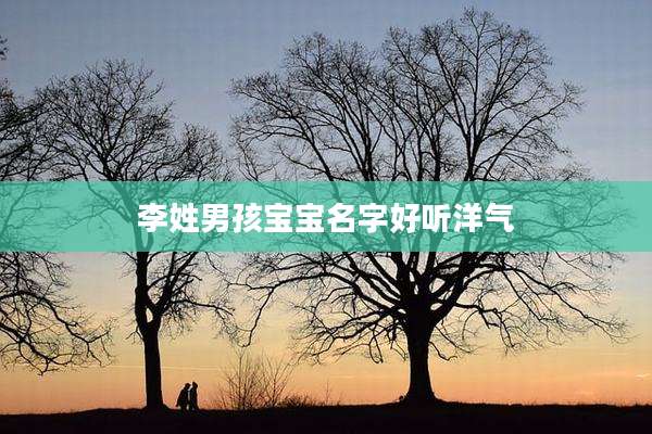 李姓男孩宝宝名字好听洋气