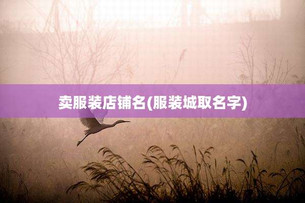 卖服装店铺名(服装城取名字)