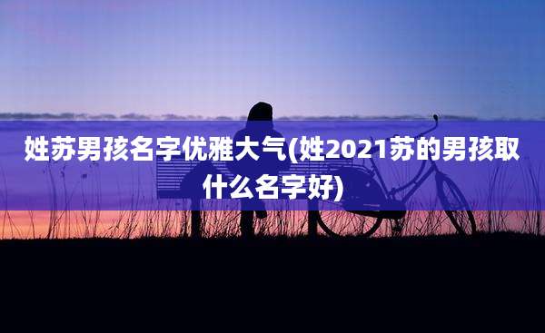 姓苏男孩名字优雅大气(姓2021苏的男孩取什么名字好)