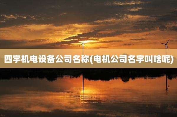 四字机电设备公司名称(电机公司名字叫啥呢)
