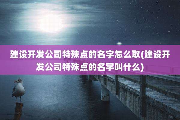 建设开发公司特殊点的名字怎么取(建设开发公司特殊点的名字叫什么)