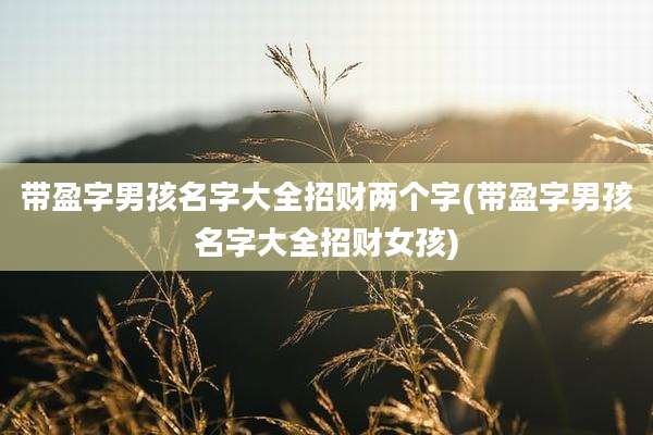 带盈字男孩名字大全招财两个字(带盈字男孩名字大全招财女孩)