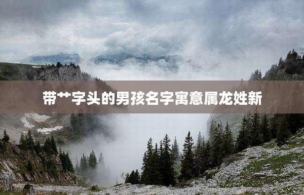 带艹字头的男孩名字寓意属龙姓新