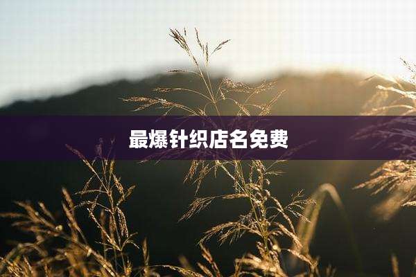 最爆针织店名免费