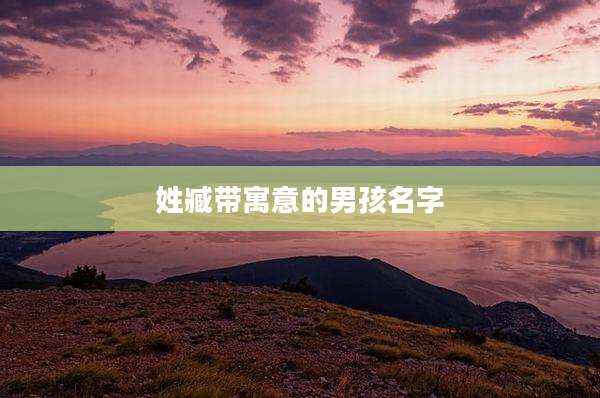 姓臧带寓意的男孩名字
